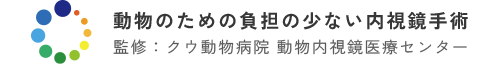 内視鏡手術・検査・治療の専門サイトを公開しました