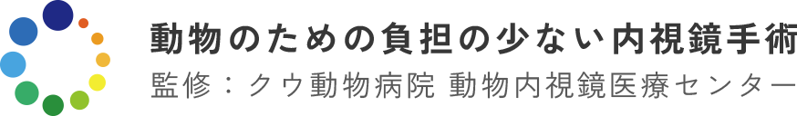 動物のための負担の少ない内視鏡手術クウ動物病院動物内視鏡医療センター